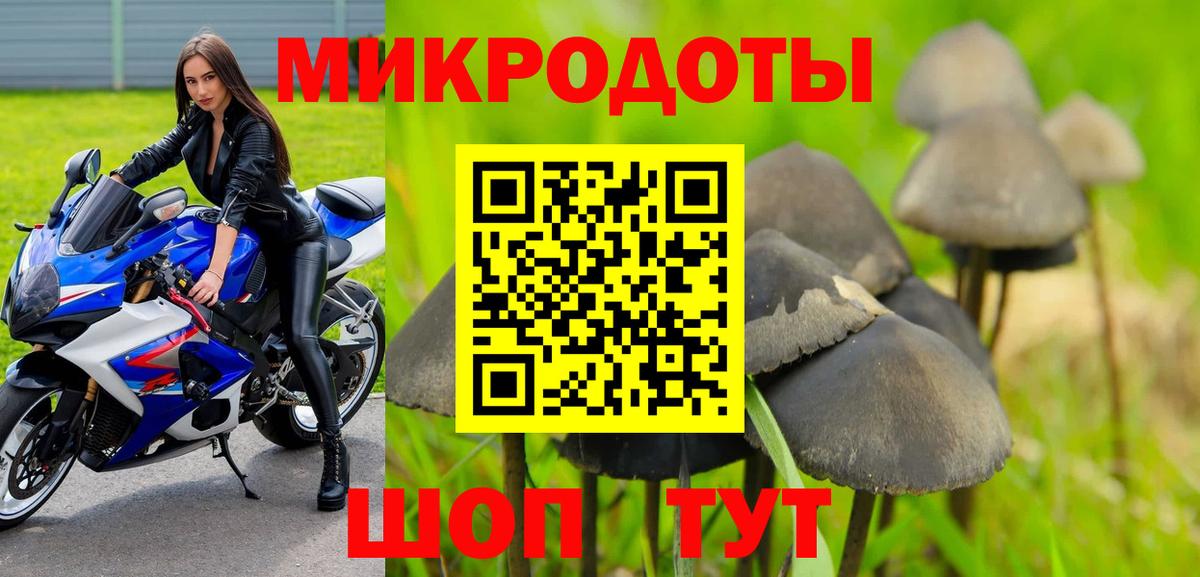 Псилоцибиновые грибы Magic Shrooms  Вход с VPN  Псилоцибиновые грибы Psilocybe  Зима 